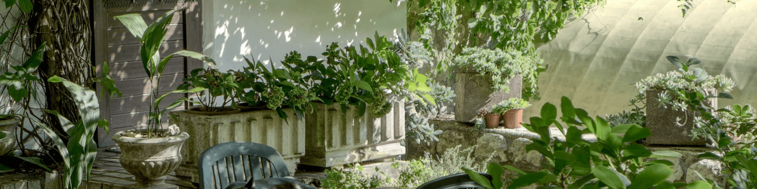 Maison et Jardin illustration